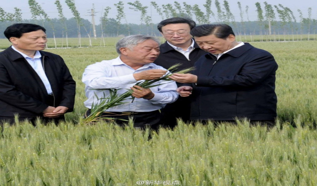 學習進行時丨是貢獻，也是奉獻——習近平總書記和河南的故事