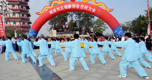 “香菊杯”千人太極拳表演之各代表隊(duì)風(fēng)采