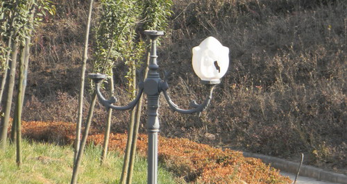 城區(qū)公共設(shè)施破壞嚴(yán)重市民應(yīng)起維護(hù)責(zé)任