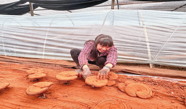 產業發展旺 群眾增收穩