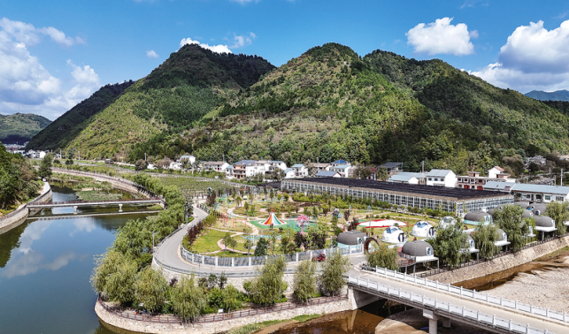 小天麻長成20億大產業