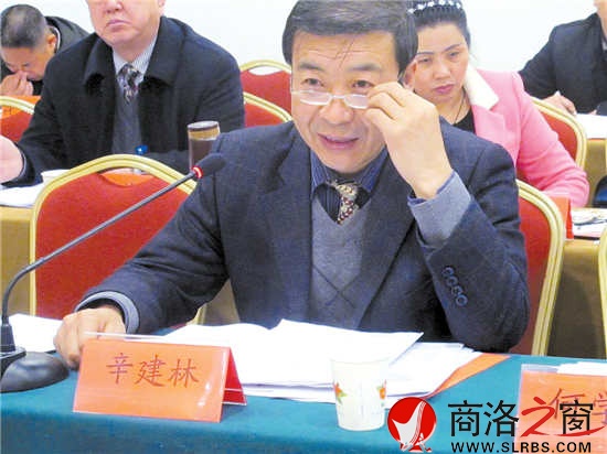 市人大代表辛建林參加丹鳳代表團(tuán)審議《政府工作報(bào)告》時(shí)建議，把城市規(guī)劃放在更加重要的位置，做好棚戶區(qū)改造工作，加強(qiáng)對(duì)群眾建房的規(guī)劃和管理。      （見習(xí)記者 董 楠 攝）