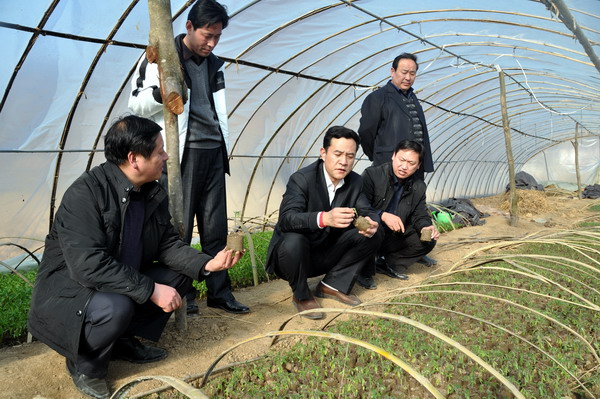 在云蓋寺鎮(zhèn)巖灣村查看春耕生產情況.jpg