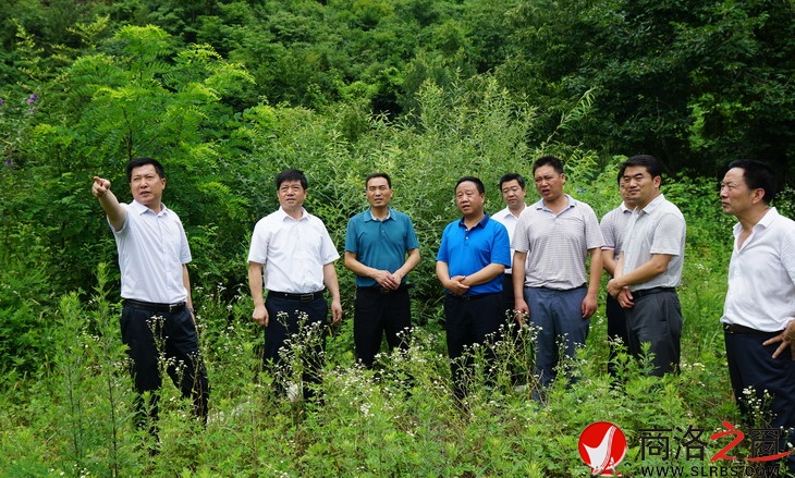 現場協調鎢鉬產業園搬遷點用地問題.jpg