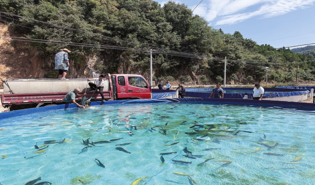 冷水魚養殖，荒草灘變身“聚寶盆”