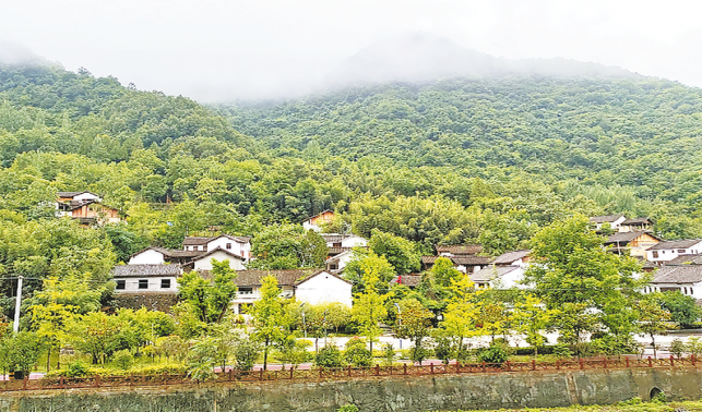 鄉村既有“顏值”更有“產值”
