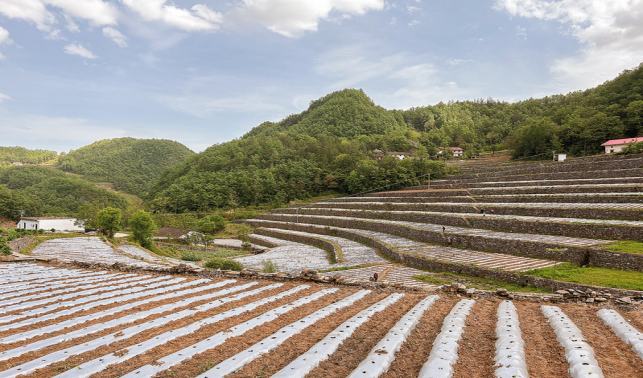 用好“千萬工程”經驗 繪就和美鄉村新畫卷